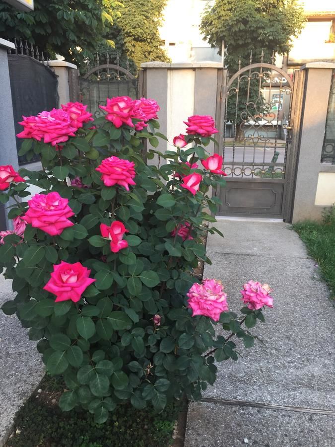 Апартаменты Apartments Premović Nikšić Никшич-7