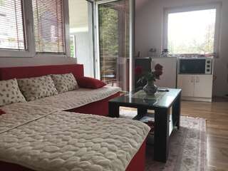 Апартаменты Apartments Premović Nikšić Никшич Апартаменты-студио-1